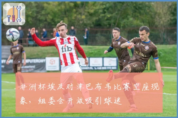 非洲杯埃及对津巴布韦比赛空座现象，组委会开放吸引球迷