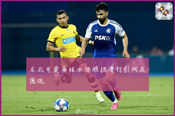 东北可爱萌娃冰场顺拐滑行引网友围观