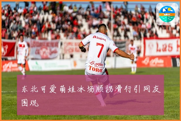 东北可爱萌娃冰场顺拐滑行引网友围观